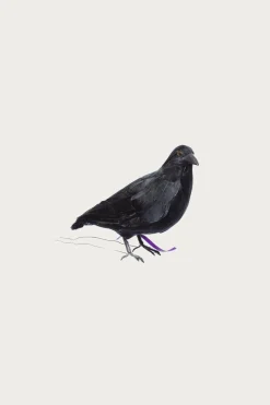 Homegoods<Puebco Crow 1 (Small)