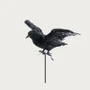 Homegoods<Puebco Flying Crow