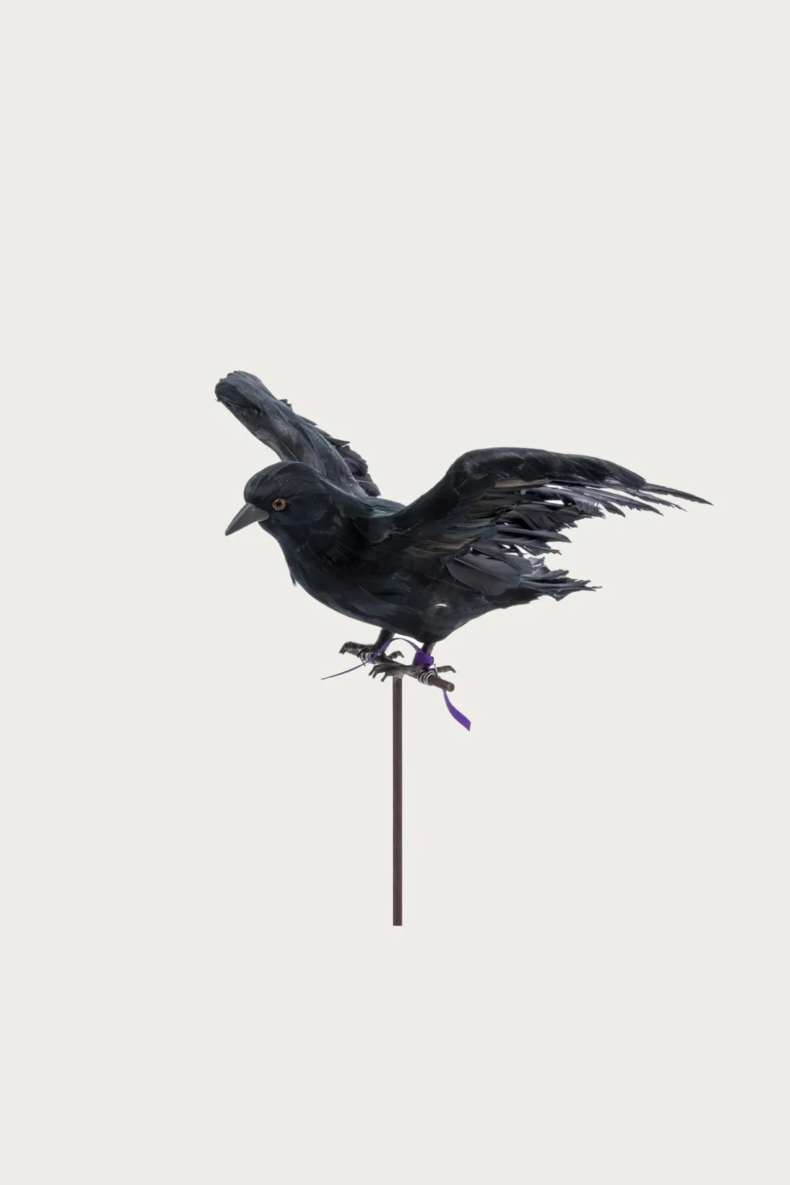 Homegoods<Puebco Flying Crow
