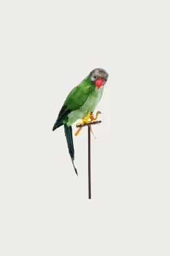 Homegoods<Puebco Green Parrot