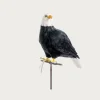 Homegoods<Puebco Large Eagle