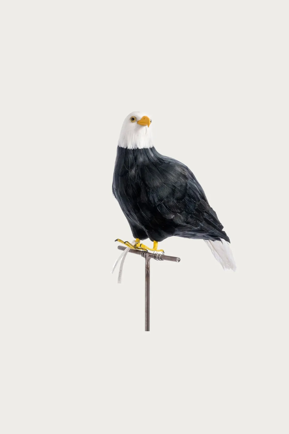 Homegoods<Puebco Large Eagle