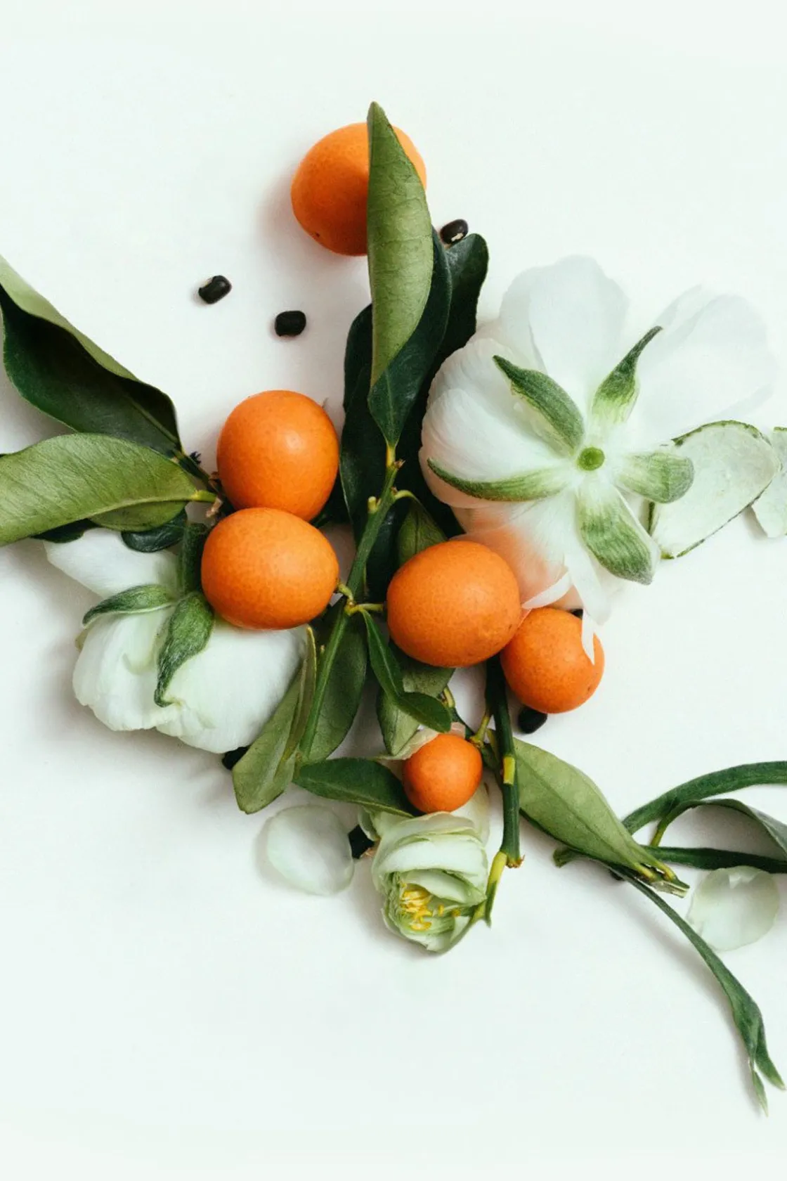 Apothecary<CORPUS Neroli Deodorant