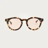 Eyewear|Accessories<Native Sons Eyewear Richter - Honey Tortoise/16k Gold/Natural