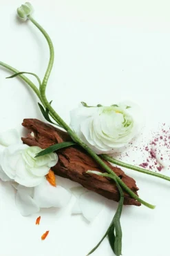 Apothecary<CORPUS Third Rose Deodorant